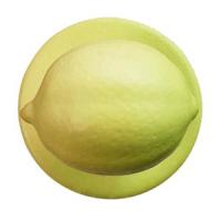 картинка Пукли «Лимон»[12шт]; пластик; D=15мм; желт. (04143725) Greiff от интернет-магазина Posuda-bar