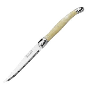 картинка Нож д/стейка; сталь нерж., пластик; L=11/23см; металлич., белый (04071808) Jean Dubost от интернет-магазина Posuda-bar