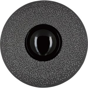 картинка Тарелка с широк. краем; керамика; D=30, 3см; серый, белый (03012616) Revol от интернет-магазина Posuda-bar