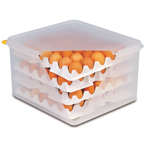 картинка Лоток д/контейнера д/хранения яиц (д/арт 82419)[10шт]; полипроп.; H=65, L=285, B=285мм (04012500) Aps от интернет-магазина Posuda-bar