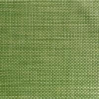 картинка Настол. подкладка темно-зеленый[6шт]; поливинилхл.; L=45, B=33см (03200743) Aps от интернет-магазина Posuda-bar