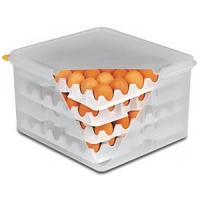 картинка Контейнер д/хранения яиц с кр. +8лотков; полипроп.; H=20, L=35, 4, B=32, 5см (04012587) Aps от интернет-магазина Posuda-bar