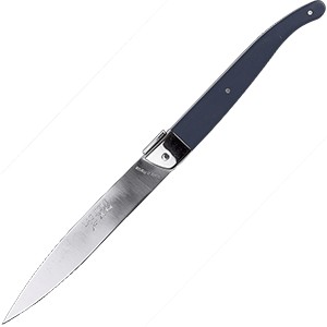 картинка Нож д/стейка; сталь нерж., пластик; L=110/225, B=15мм; синий (03112708) Jean Dubost от интернет-магазина Posuda-bar