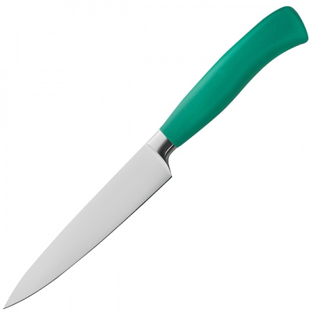 картинка Нож кухонный универсальный «Платинум»; сталь нерж., пластик; H=2, L=29/16, B=3см; зелен., металлич. (04071805) Felix от интернет-магазина Posuda-bar